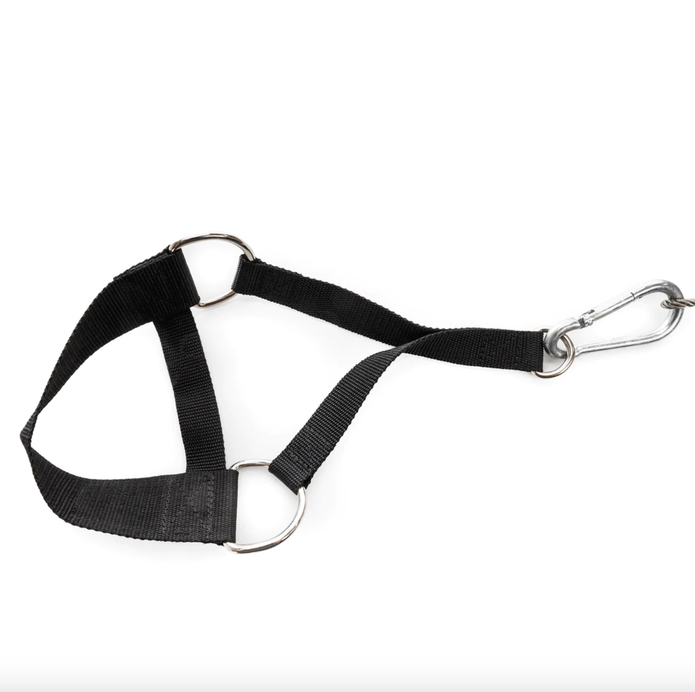 BC Strength Foot Strap