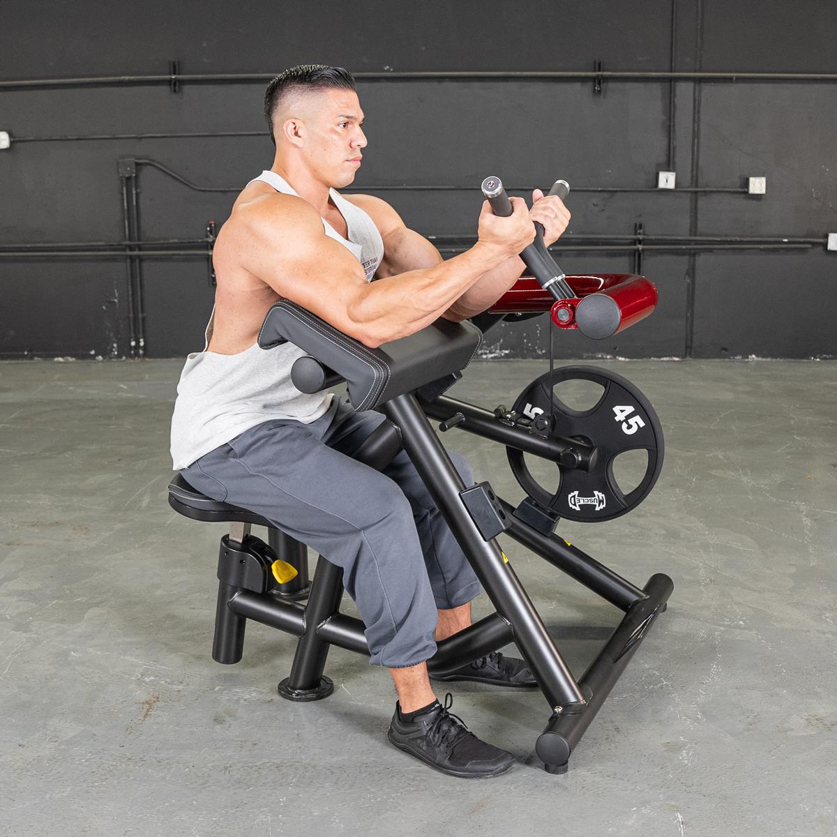 Muscle D Power Leverage V2 Biceps Curl / Preacher Curl - Display Unit