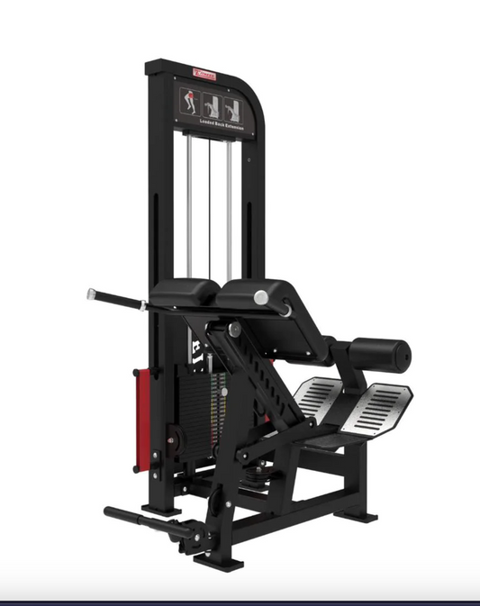 Muscle D Excel Loaded Back Extension