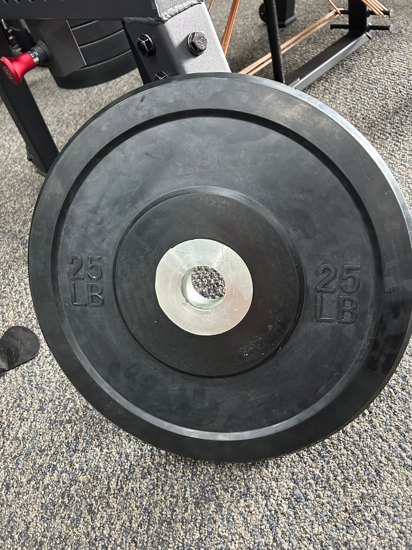 Muscle D Rubber Bumper Plates - CLOSEOUT