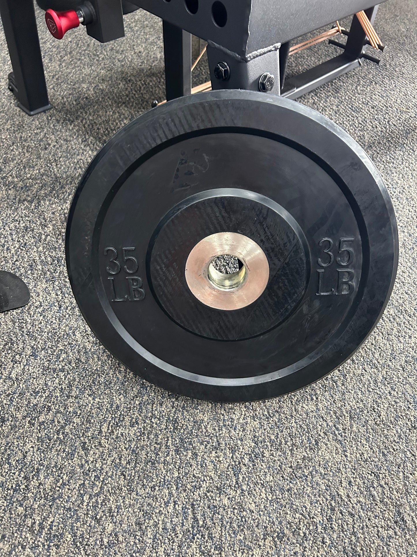 Muscle D Rubber Bumper Plates - CLOSEOUT