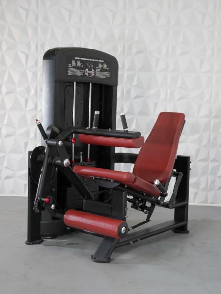 Muscle D Elite Seated Leg Extension Leg Curl Combo