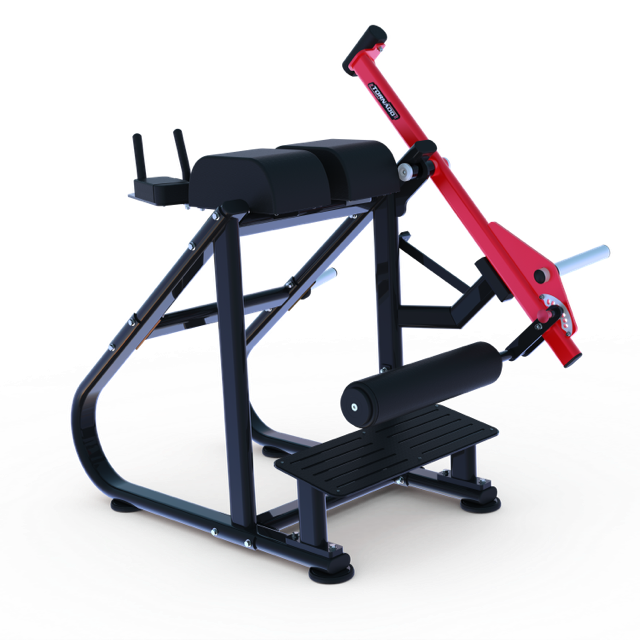 Muscle D Pro Strength Reverse Hyper