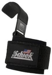 Schiek Lifting Hooks