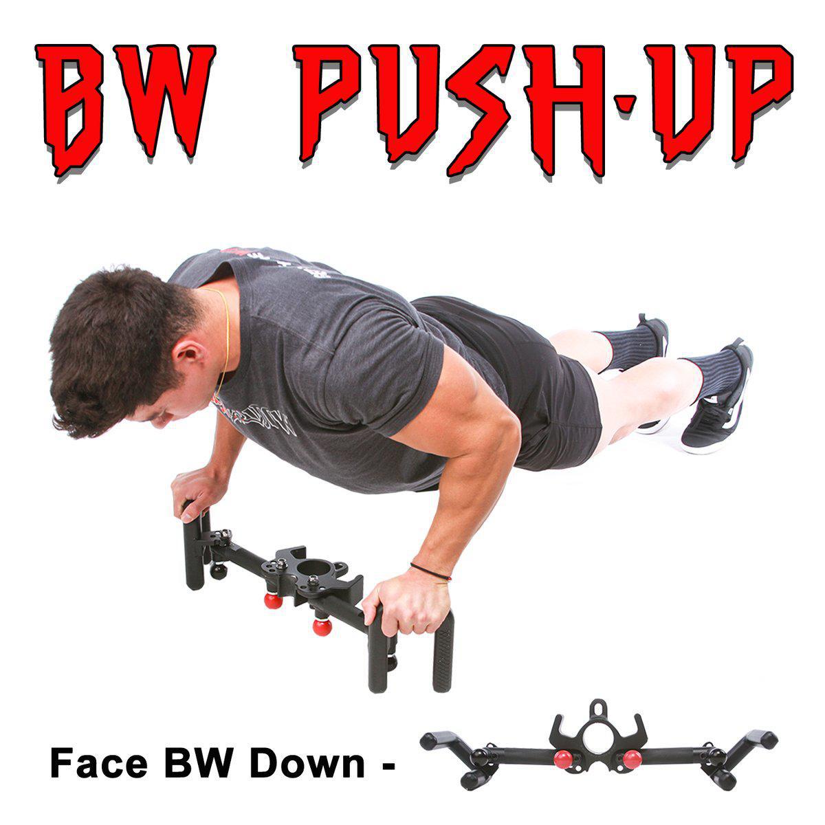 Flex Wheeler's Back Widow