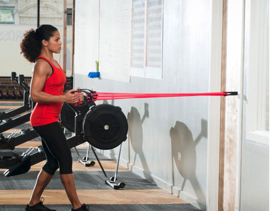 LifeLine Door Anchor