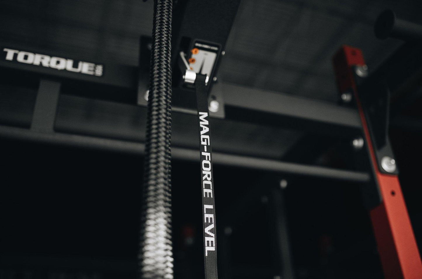 Torque Endless Rope Trainer