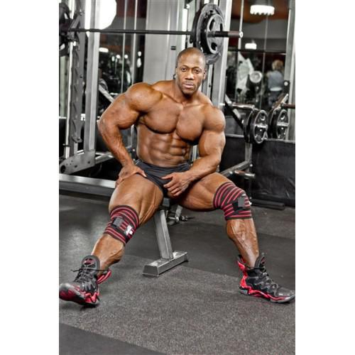 Schiek Knee Wraps