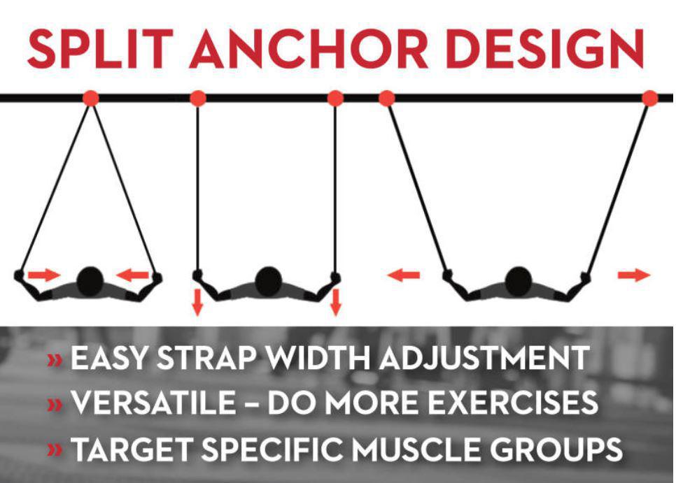 LifeLine Jungle Gym XT