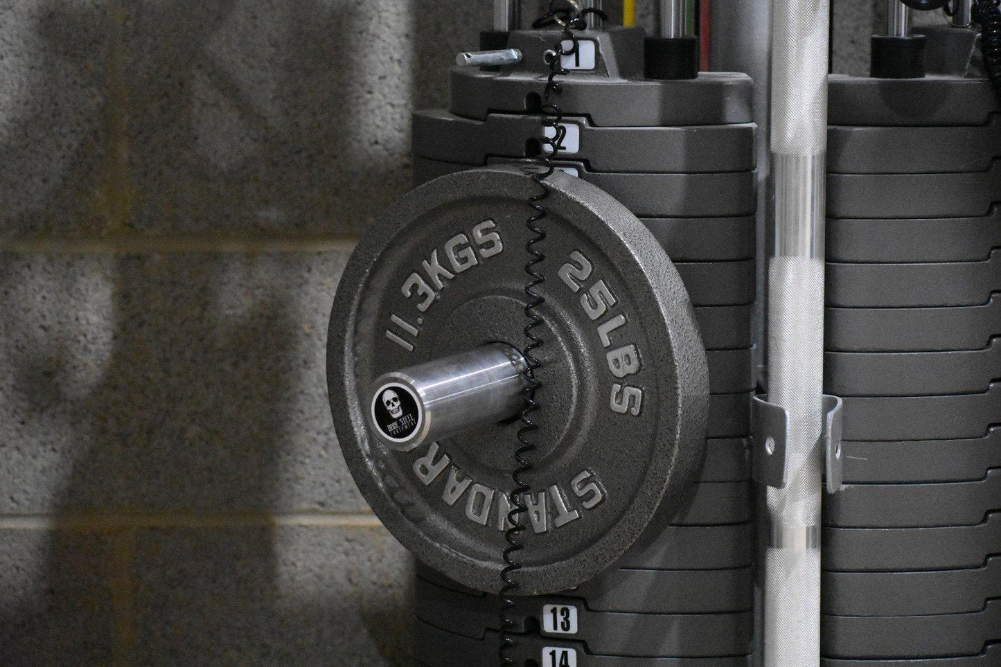 Bare Steel 10mm Stacked Weight Pin