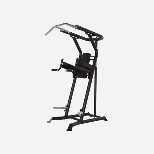 Inspire VKR Vertical Knee Raise Dip Station