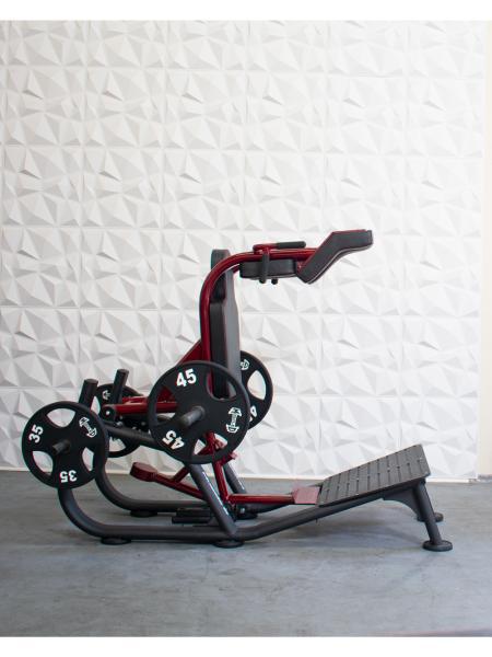 Muscle D Pro Strength Squat / Front Squat