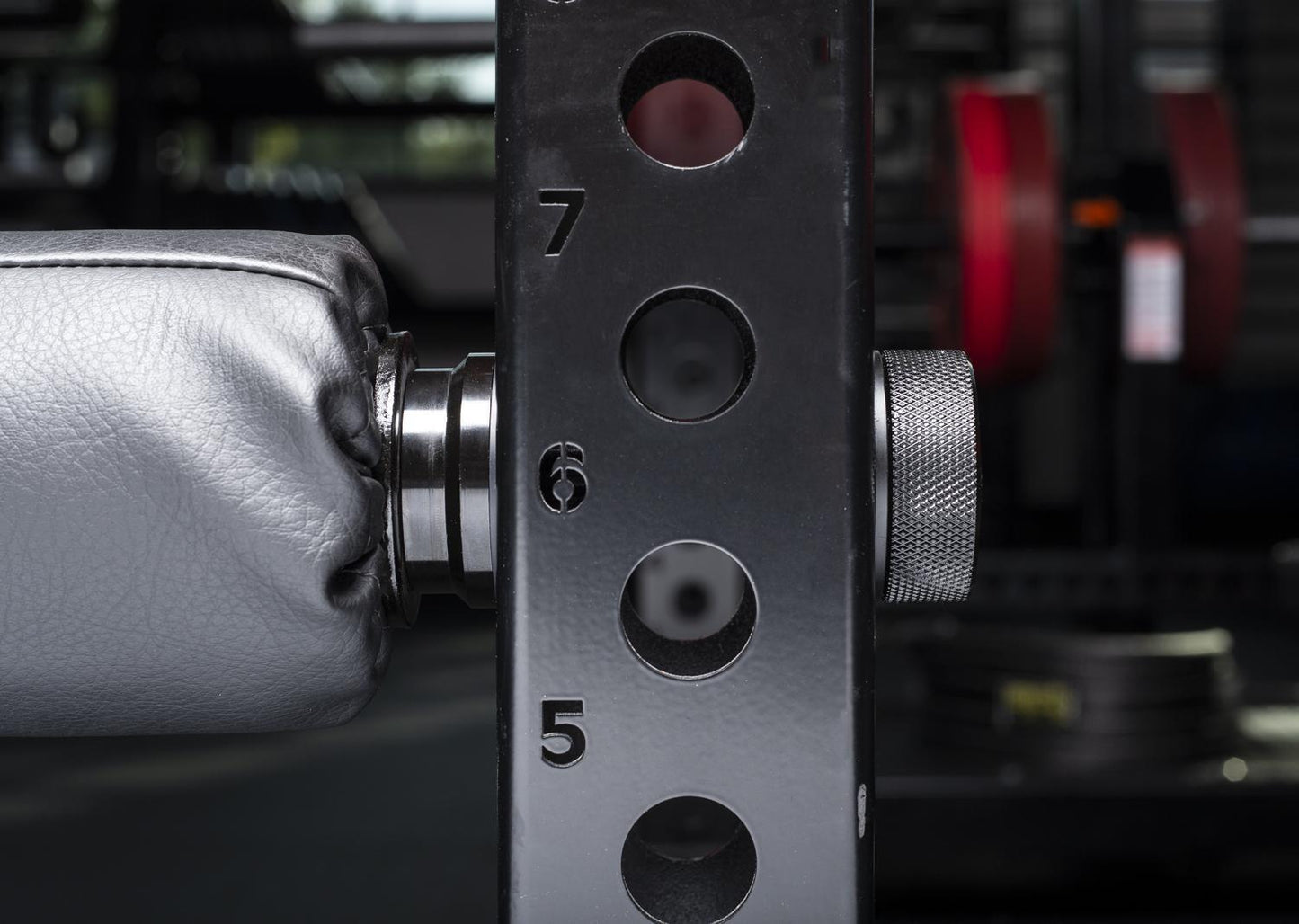 Rogue Monster Single Leg Roller 2.0