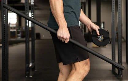 Rogue Individual Pullup System