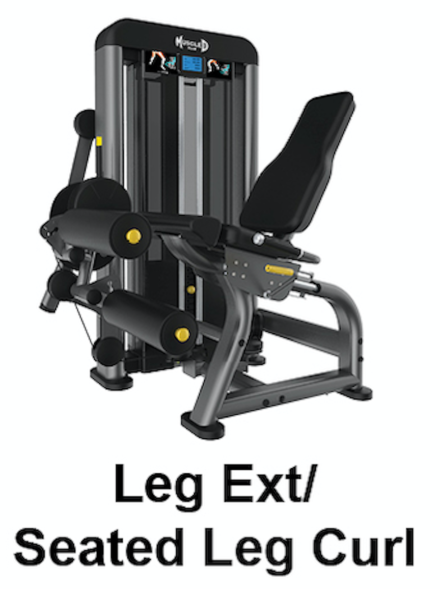 Muscle D Elite Seated Leg Extension Leg Curl Combo