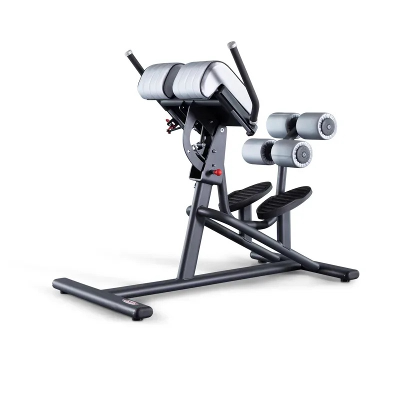 Muscle D Pro+ Roman Chair / Back Extension