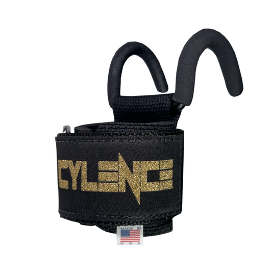 Schiek Model 1200 CYLENCE Lifting Hooks