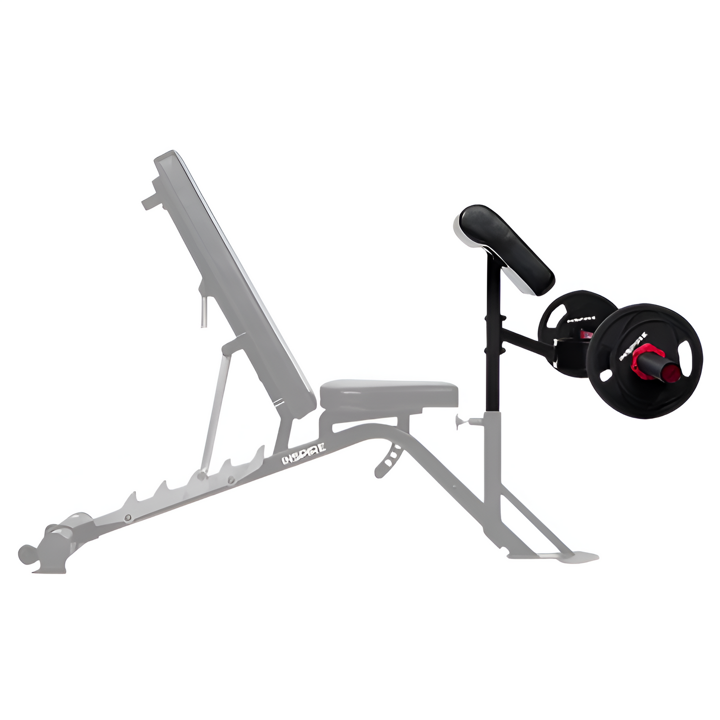Inspire Preacher Curl Attachment