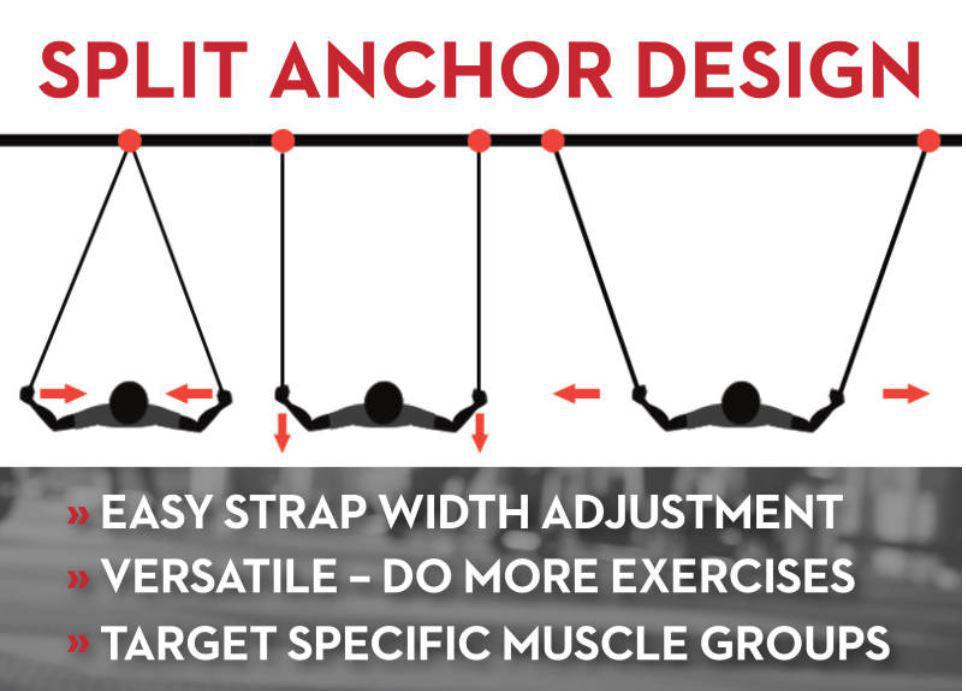 Jungle gym best sale suspension trainer