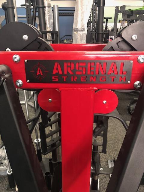 Arsenal Strength M1 Selectorized Standing Lateral Raise