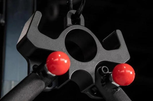 Flex Wheeler's Back Widow