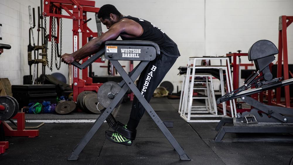 Rogue Westside Scout Hyper – Total Fitness USA