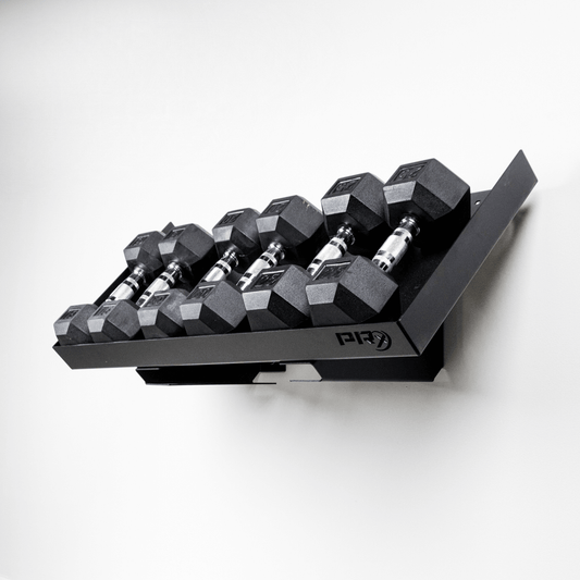 Prx Wall-Mount Dumbbell Storage